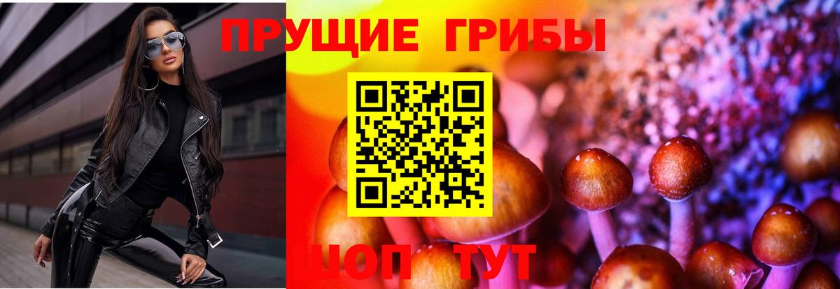 Новочебоксарск  Галлюциногенные грибы Cubensis  Вход с VPN 